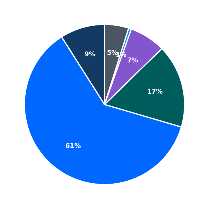 Maximum Investment Breakdown