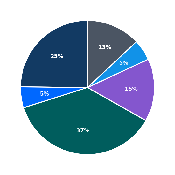 Maximum Investment Breakdown