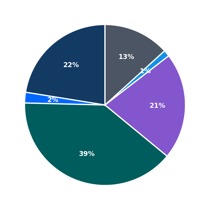 Maximum Investment Breakdown