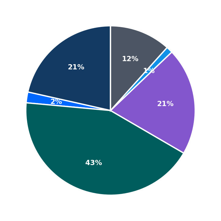 Maximum Investment Breakdown