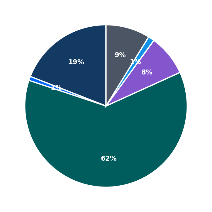 Maximum Investment Breakdown