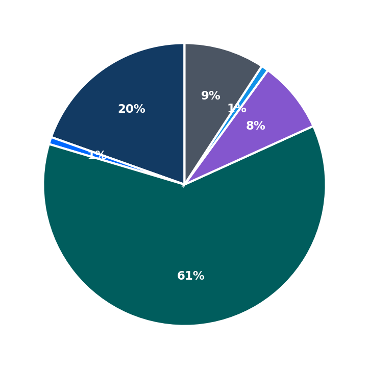 Maximum Investment Breakdown