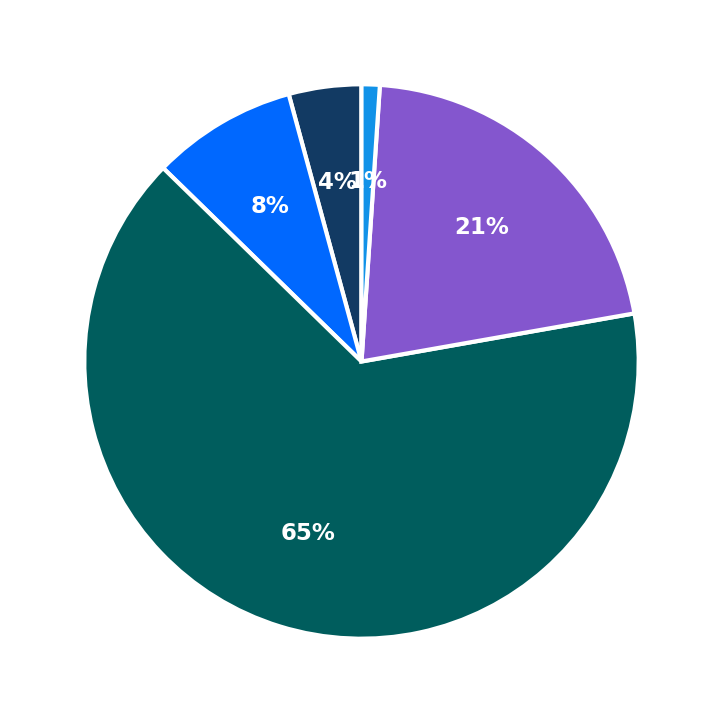 Maximum Investment Breakdown