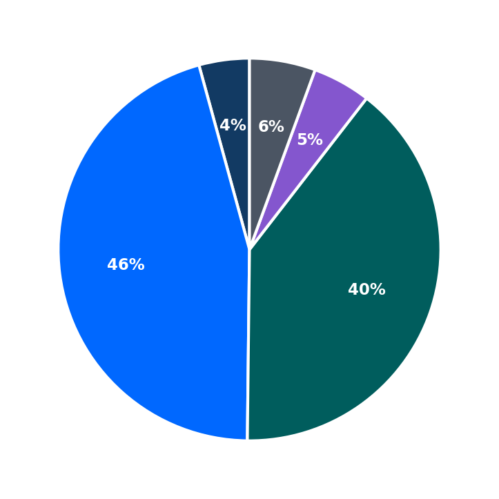 Maximum Investment Breakdown