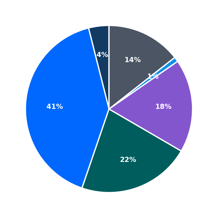 Maximum Investment Breakdown