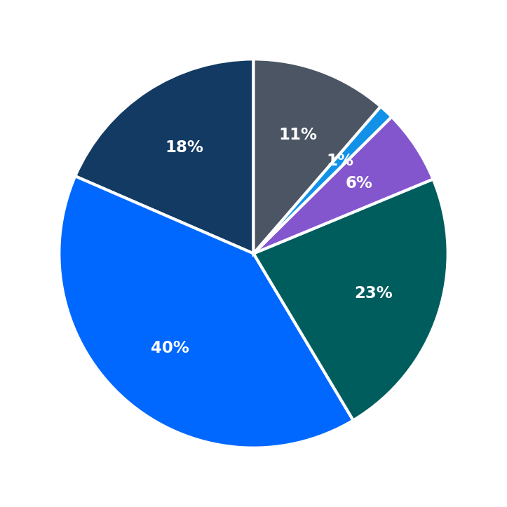 Maximum Investment Breakdown