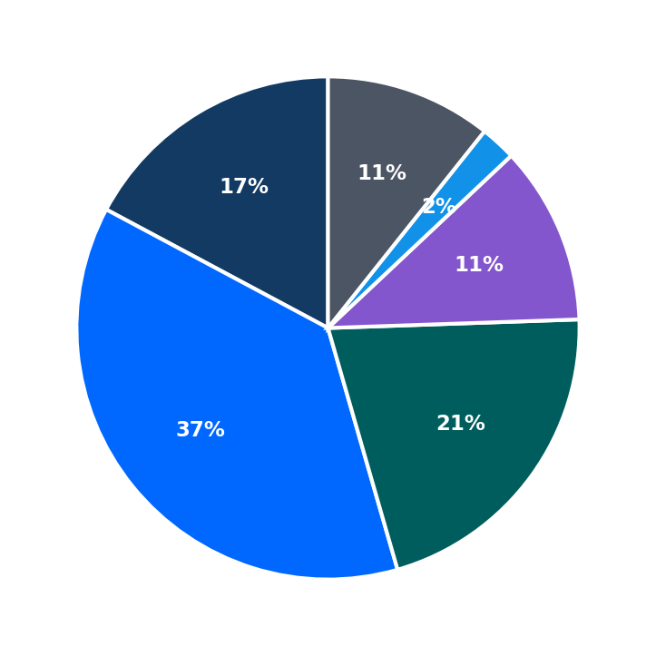 Maximum Investment Breakdown