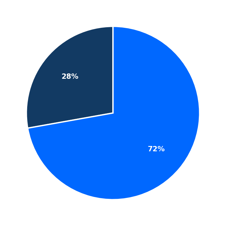 Maximum Investment Breakdown