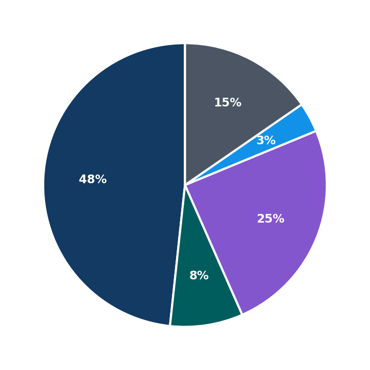 Maximum Investment Breakdown