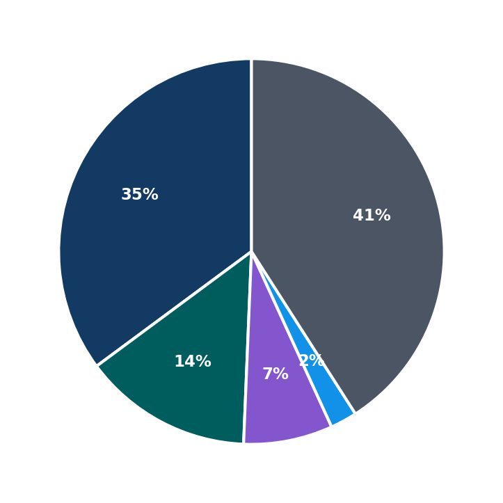 Maximum Investment Breakdown