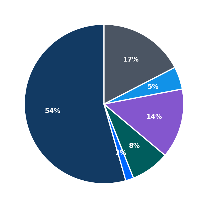 Maximum Investment Breakdown