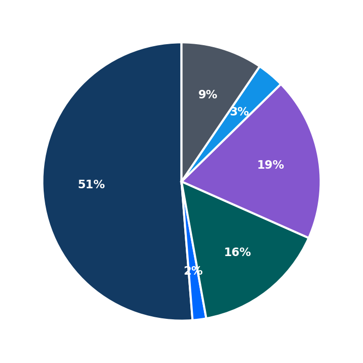 Maximum Investment Breakdown