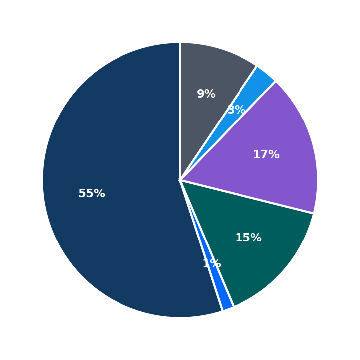 Wize Computing Academy maximum investment breakdown