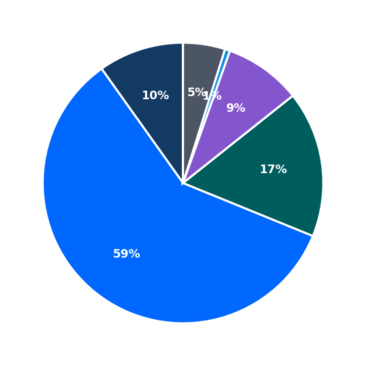 Maximum Investment Breakdown