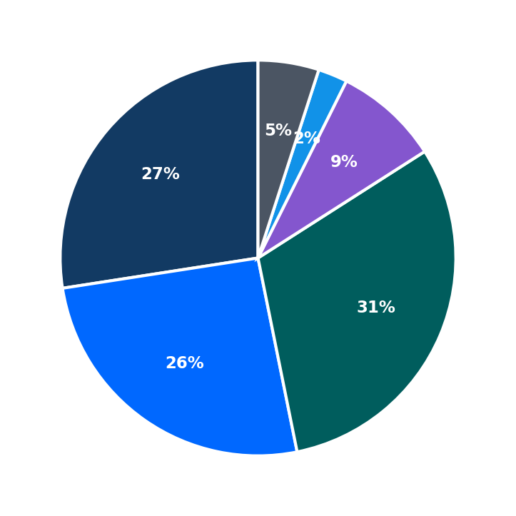 Maximum Investment Breakdown