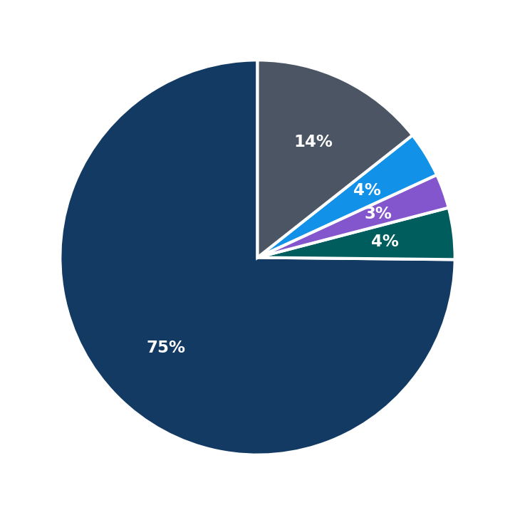 Maximum Investment Breakdown