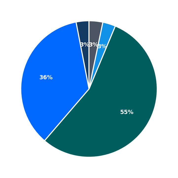 Maximum Investment Breakdown